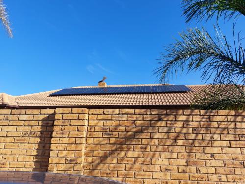 WhatsApp-Image-2023-07-17-at-12.14.12sg